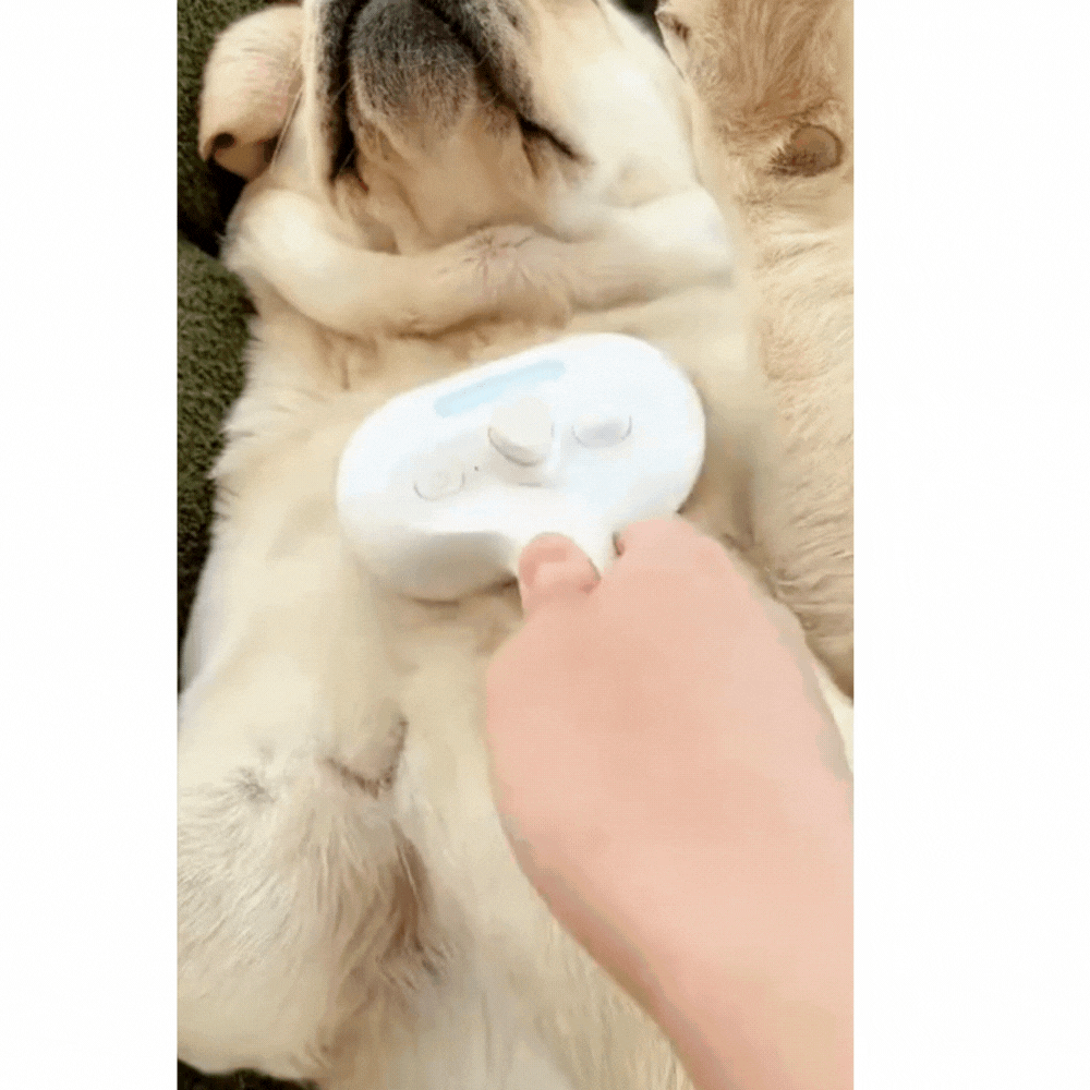 Zentora™ EasyClean Slicker